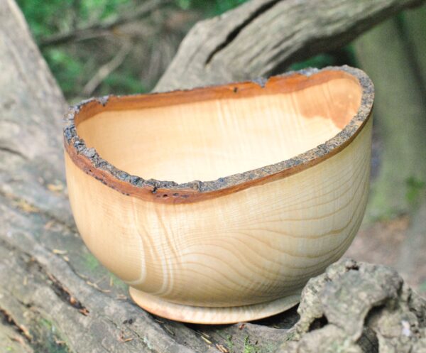 Live Edge Ash Vessel